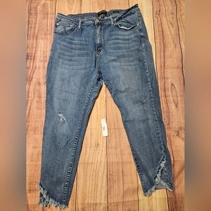 Judy Blue Skinny Fit 3xl